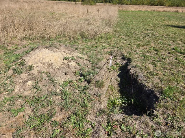 a view of a yard with an outdoor space