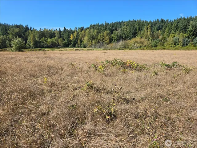 a view of an outdoor space with mountain view