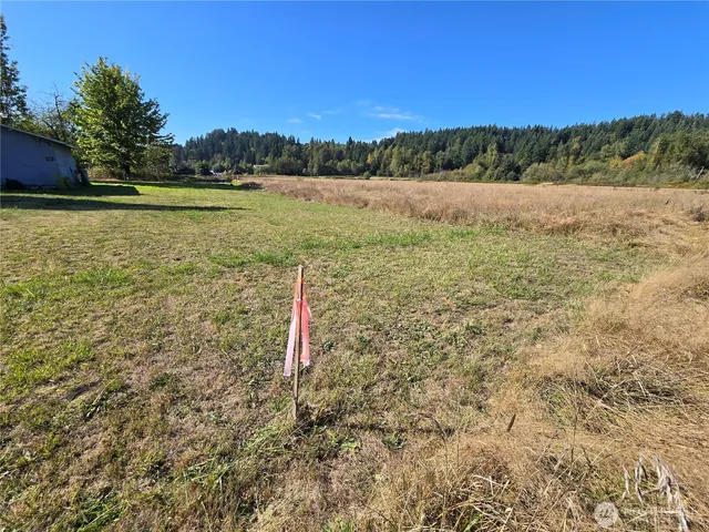a view of a lake with a mountain