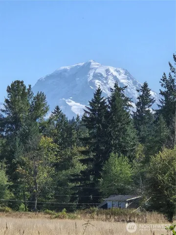 a view of a forest with mountains in the background