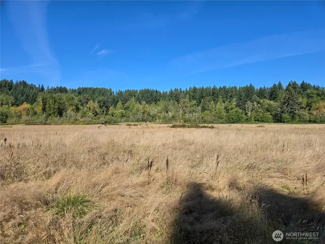 a view of lake and mountain