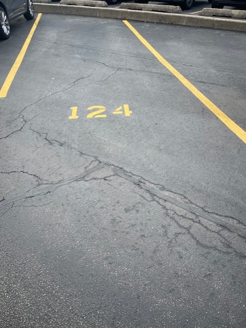 9624 West Higgins Road, Unit 3FN Rosemont, IL 60018 - Photo 12 of 12 a view of a basket ball ground