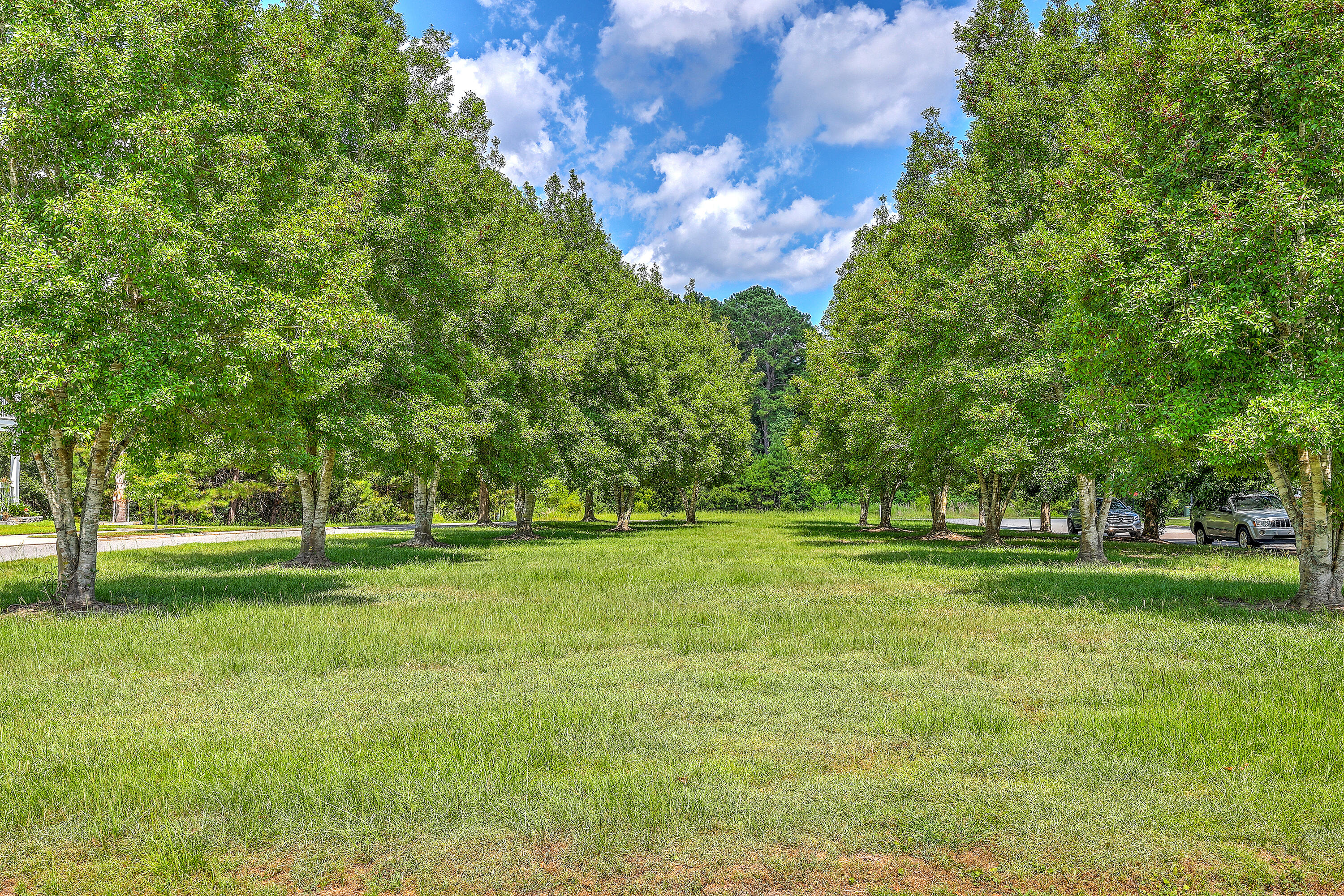 81 Red Blf Street Summerville, SC 29483 - Photo 40 of 47 ZYN_6027_28_29_30_31_32_33