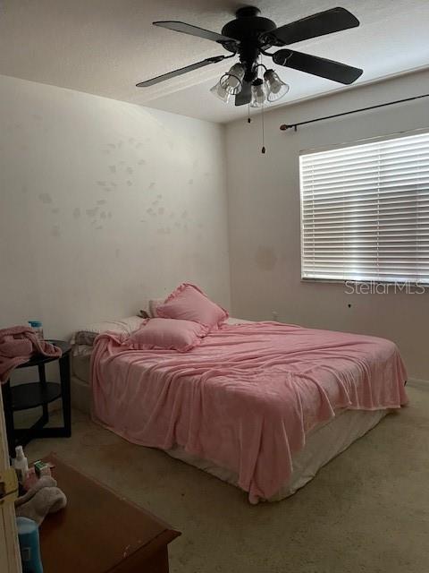 2834 Pankaw Lane Valrico, FL 33596 - Photo 34 of 64 a bedroom with a bed and window