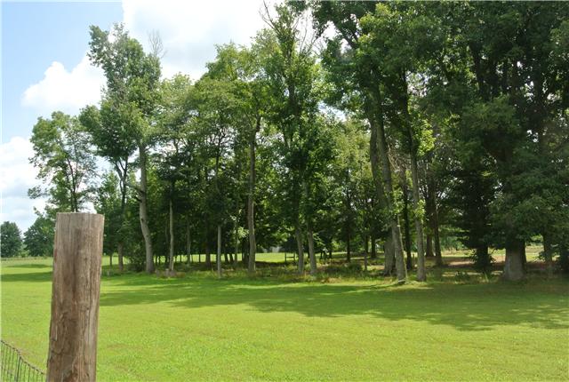 1622 Rock Bridge Road Bethpage, TN 37022 - Photo 20 of 20 Explore The Woods