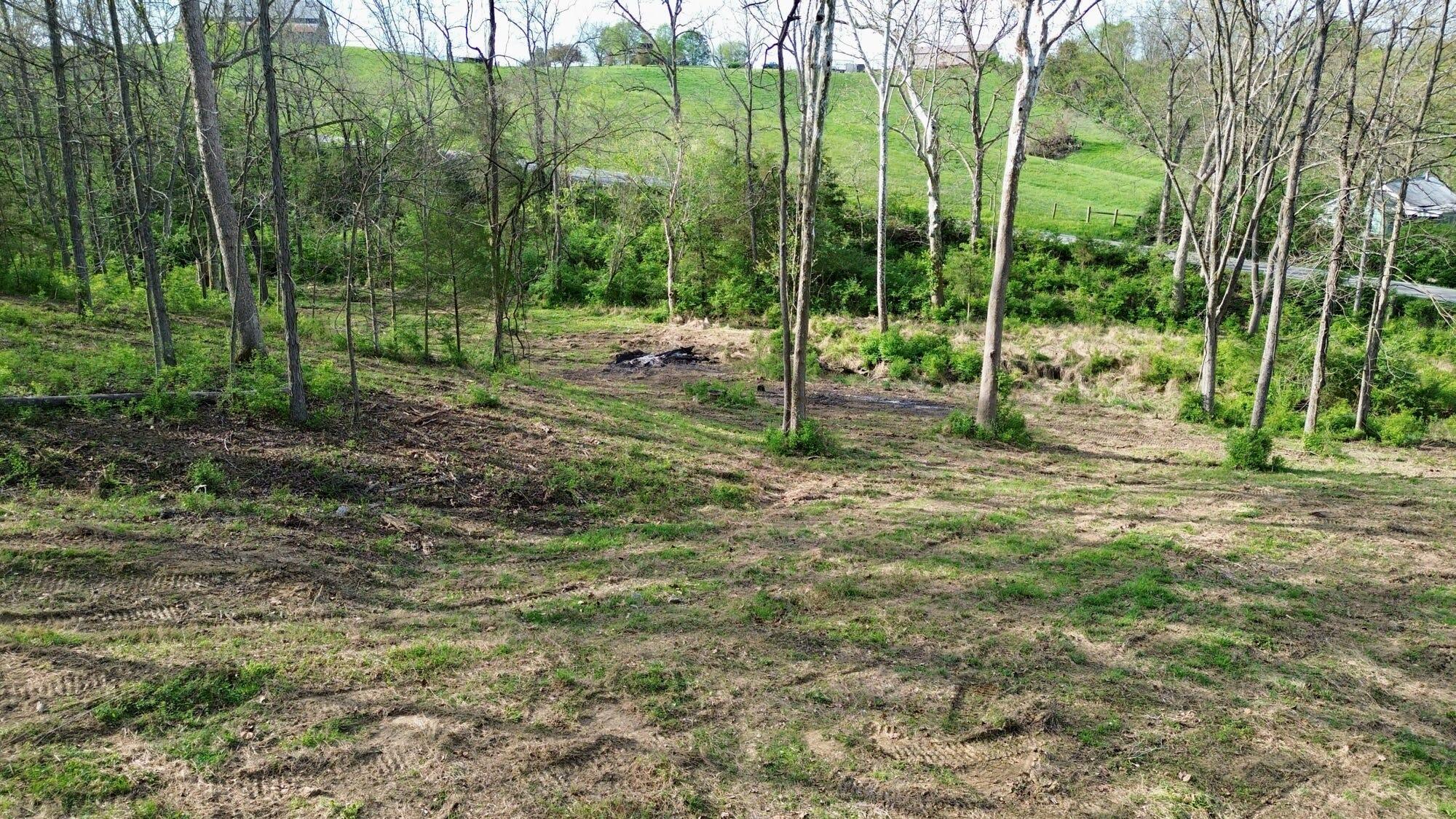 24 East Union Road Carlisle, KY 40311 - Photo 7 of 52 Clearing