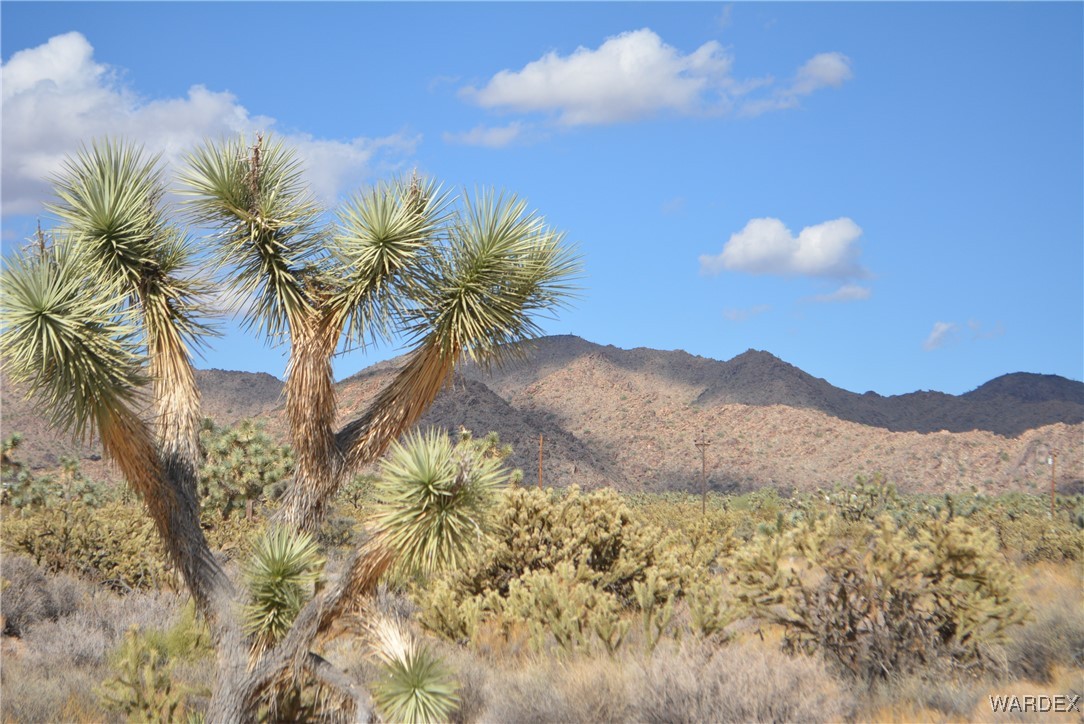 11841 Sherry Road Yucca, AZ 86438 - Photo 1 of 45 a view of mountain with sunset in background