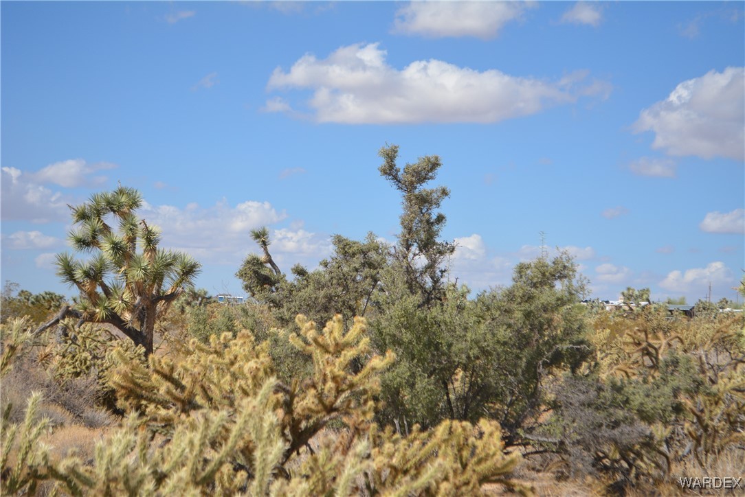 11841 Sherry Road Yucca, AZ 86438 - Photo 11 of 45 a view of a city