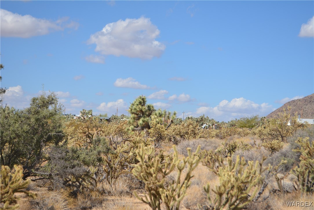 11841 Sherry Road Yucca, AZ 86438 - Photo 12 of 45 a view of a sky