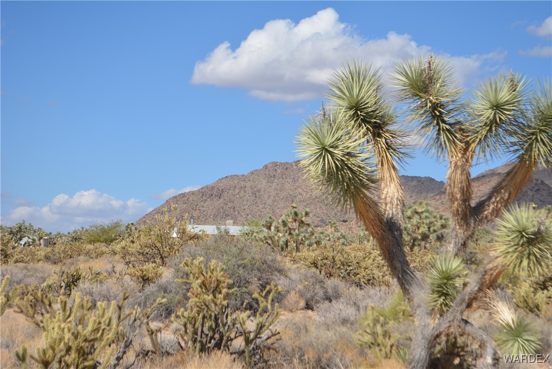 11841 Sherry Road Yucca, AZ 86438 - Photo 13 of 45 a view of a dry yard with wooden fence