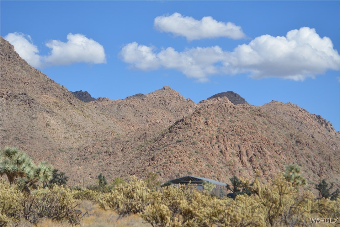 11841 Sherry Road Yucca, AZ 86438 - Photo 19 of 45 a view of a dry yard with mountains in the background