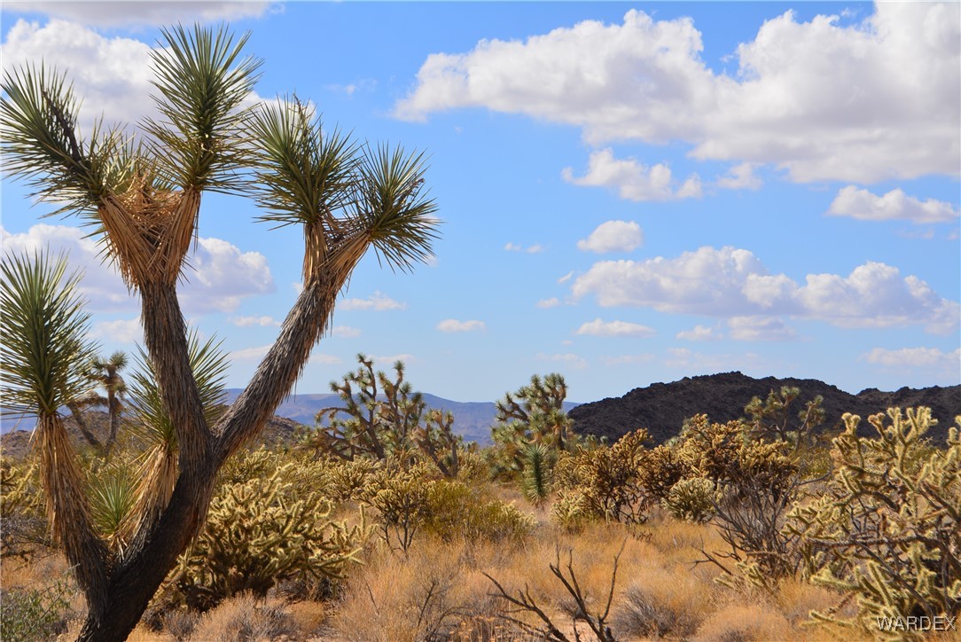 11841 Sherry Road Yucca, AZ 86438 - Photo 2 of 45 a view of a sky