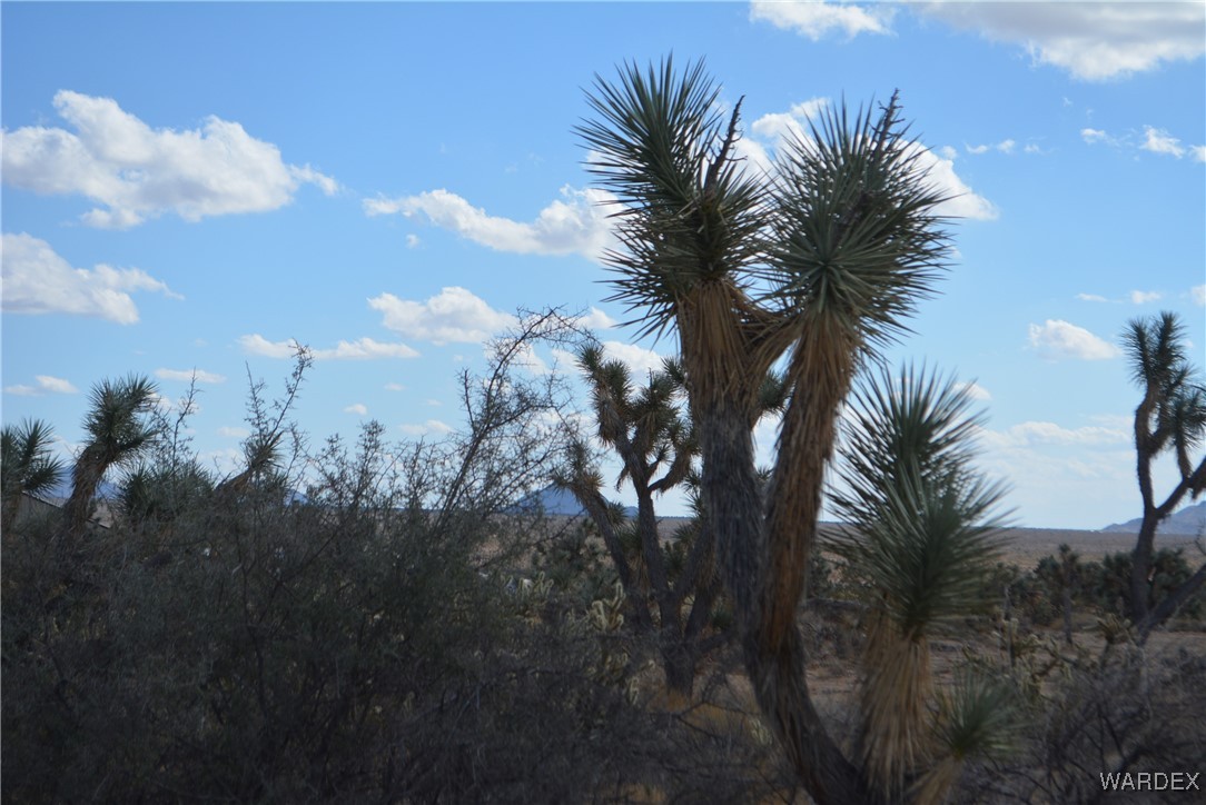 11841 Sherry Road Yucca, AZ 86438 - Photo 24 of 45 a view of a city