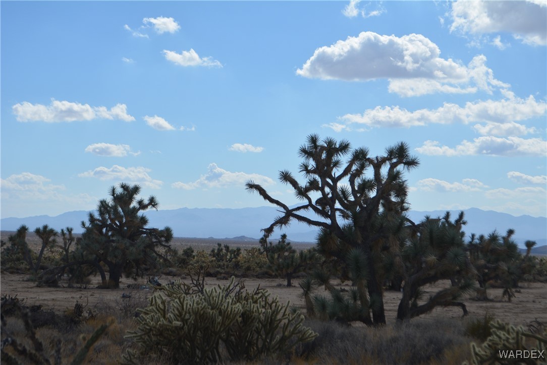 11841 Sherry Road Yucca, AZ 86438 - Photo 27 of 45 a view of a city