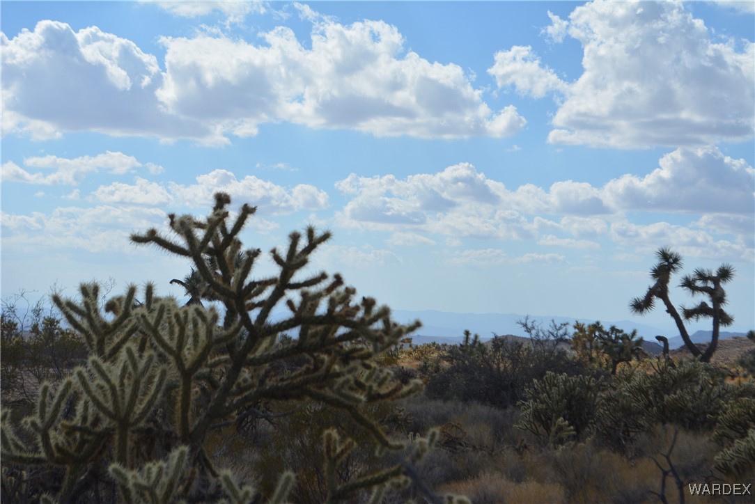 11841 Sherry Road Yucca, AZ 86438 - Photo 30 of 45 a view of a city with lots of trees
