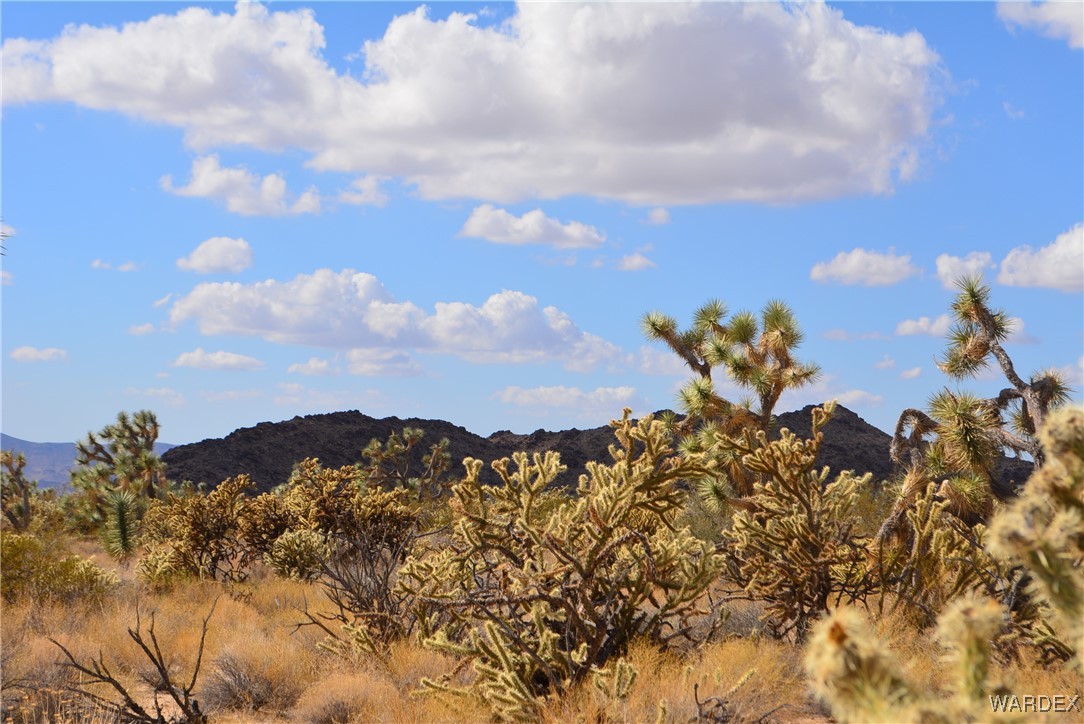11841 Sherry Road Yucca, AZ 86438 - Photo 3 of 45 a view of a lot of mountains in the background