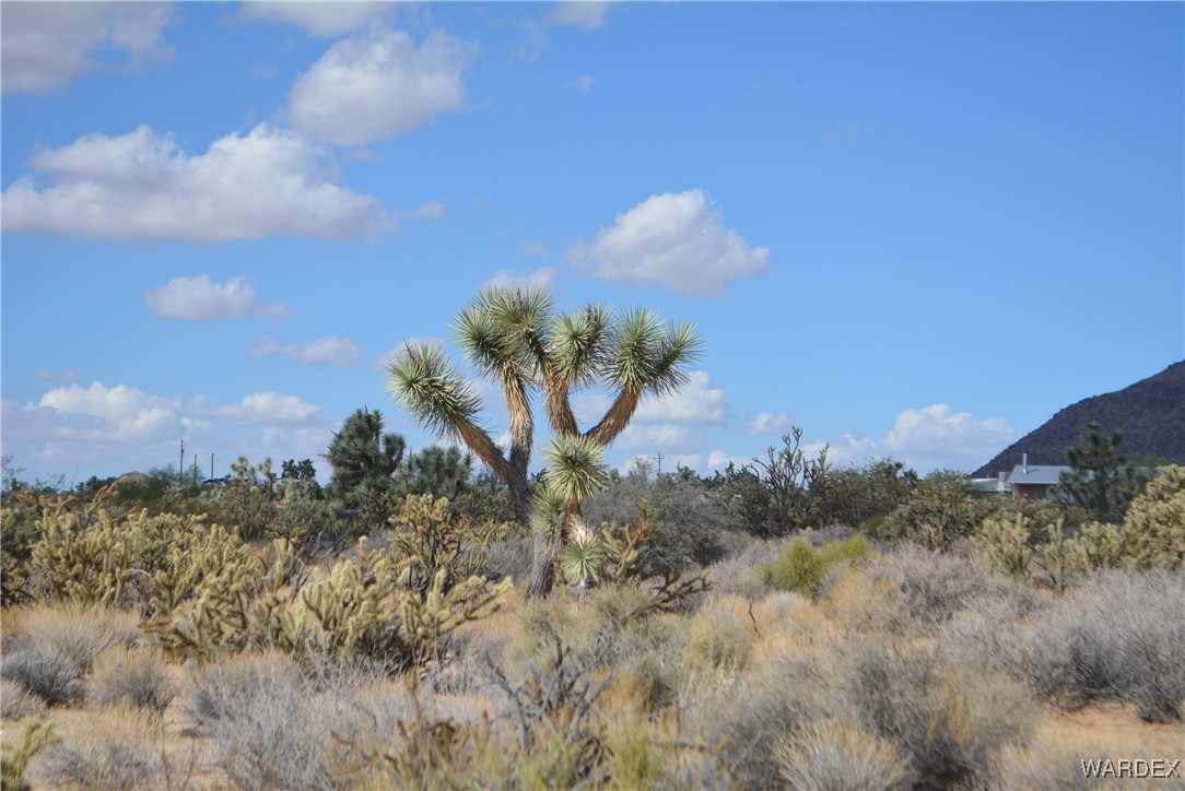 11841 Sherry Road Yucca, AZ 86438 - Photo 35 of 45 a view of a city