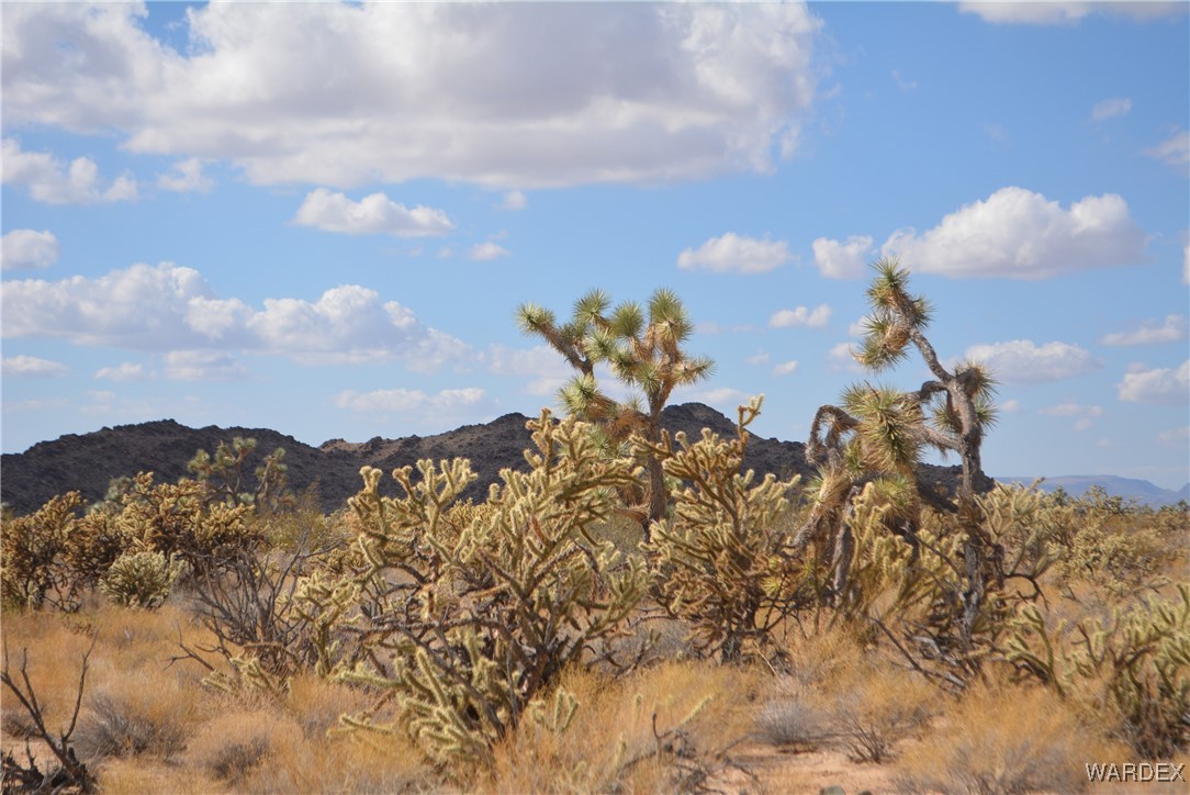11841 Sherry Road Yucca, AZ 86438 - Photo 4 of 45