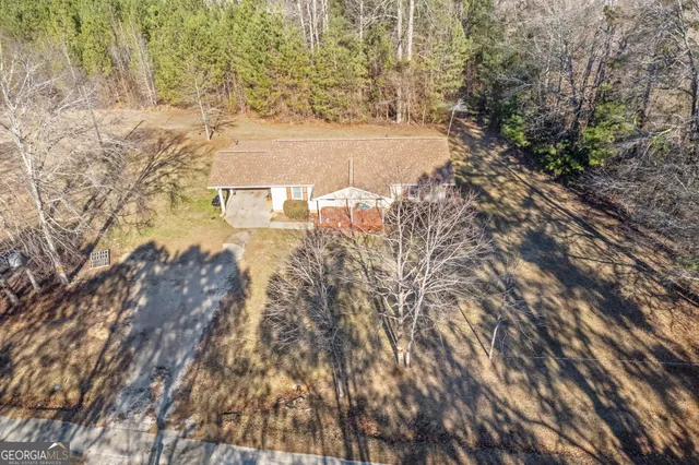 a view of a yard with plants