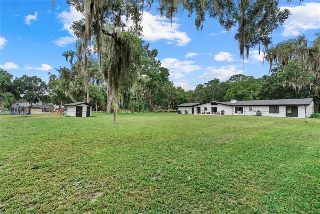 3518 Berger Road Lutz, FL 33548 - Photo 47 of 54