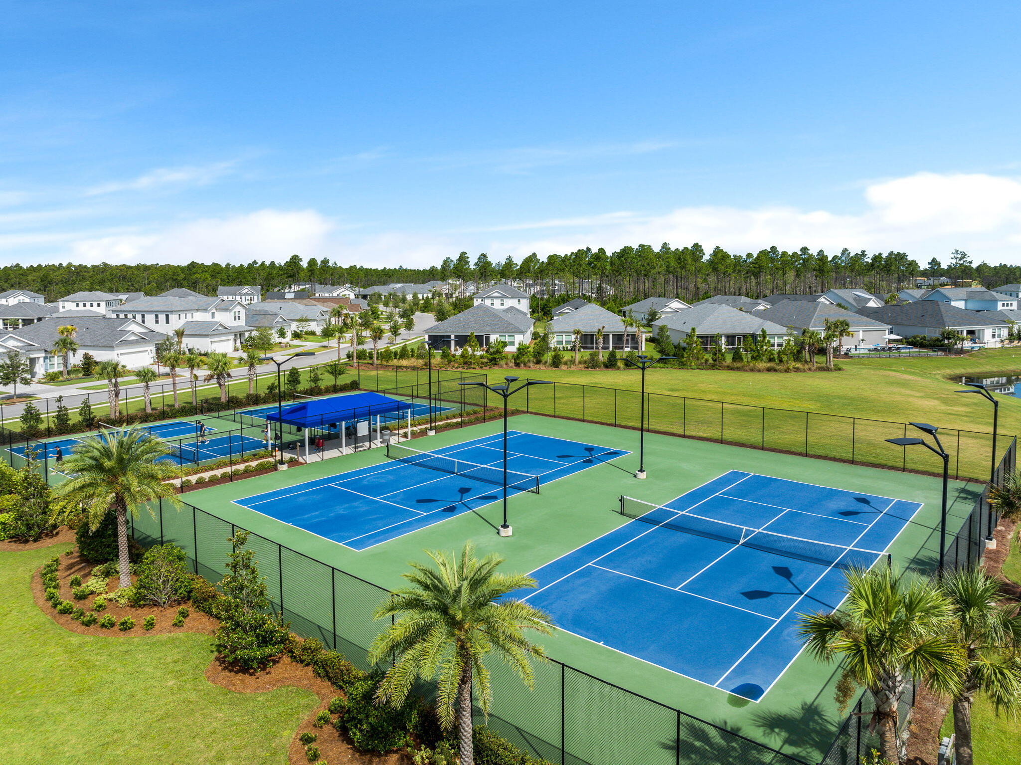 40 Tamoka Ct Inlet Beach Inlet Beach, FL 32461 - Photo 64 of 93 54-web-or-mls-47-ravine-rd