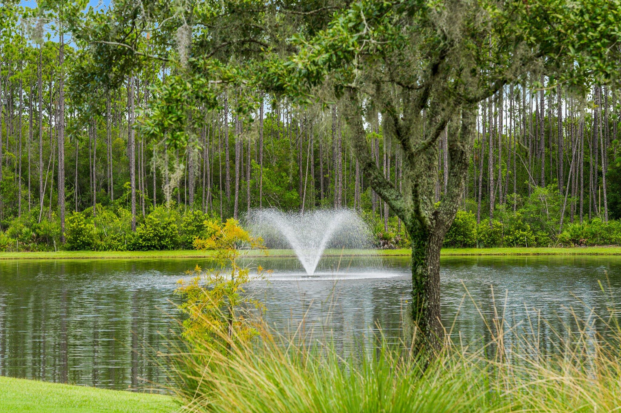40 Tamoka Ct Inlet Beach Inlet Beach, FL 32461 - Photo 81 of 93 70-web-or-mls-47-ravine-rd