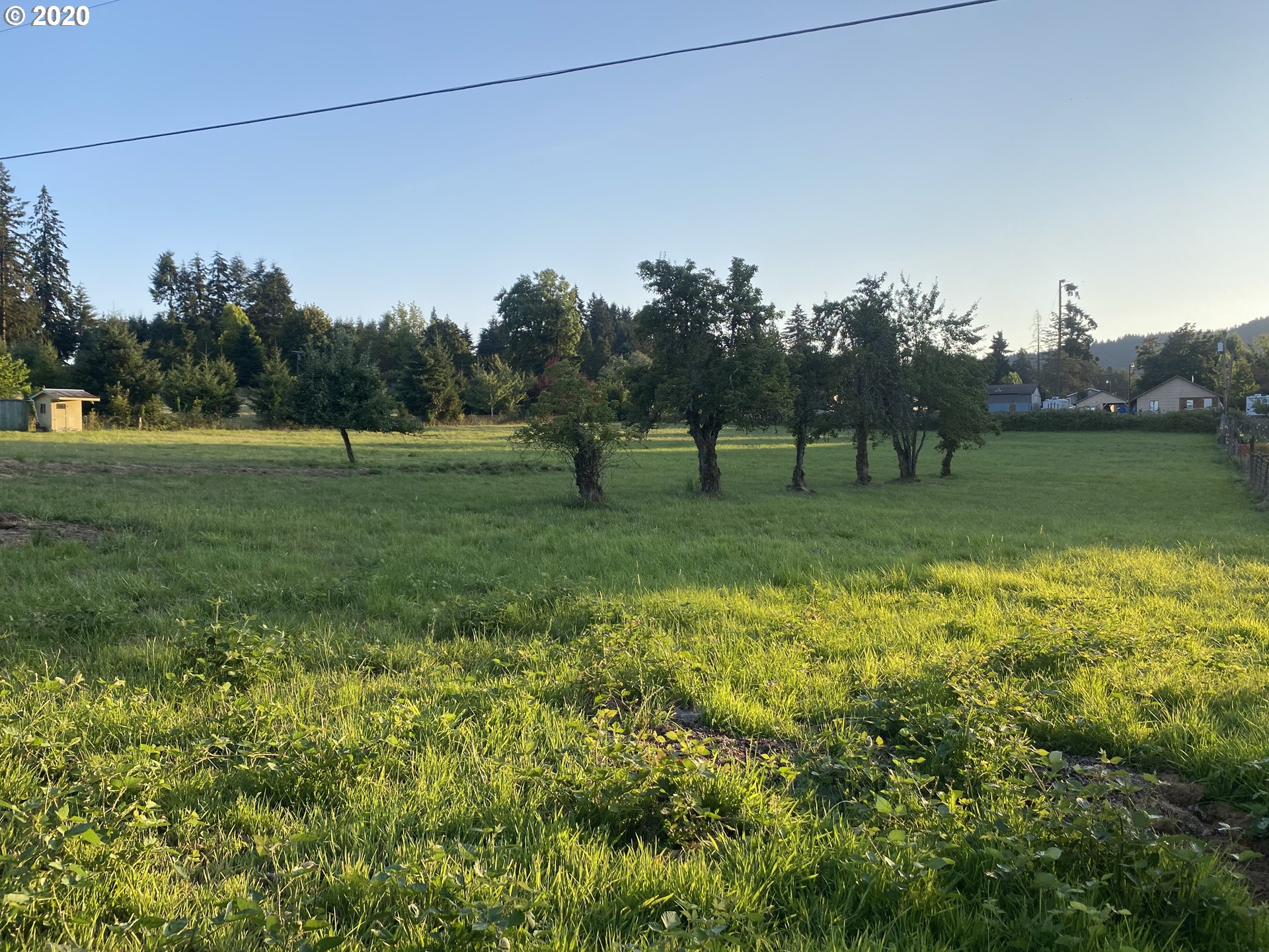 0 Elm Street Yoncalla, OR 97499 - Photo 1 of 6 Gallery Image 1