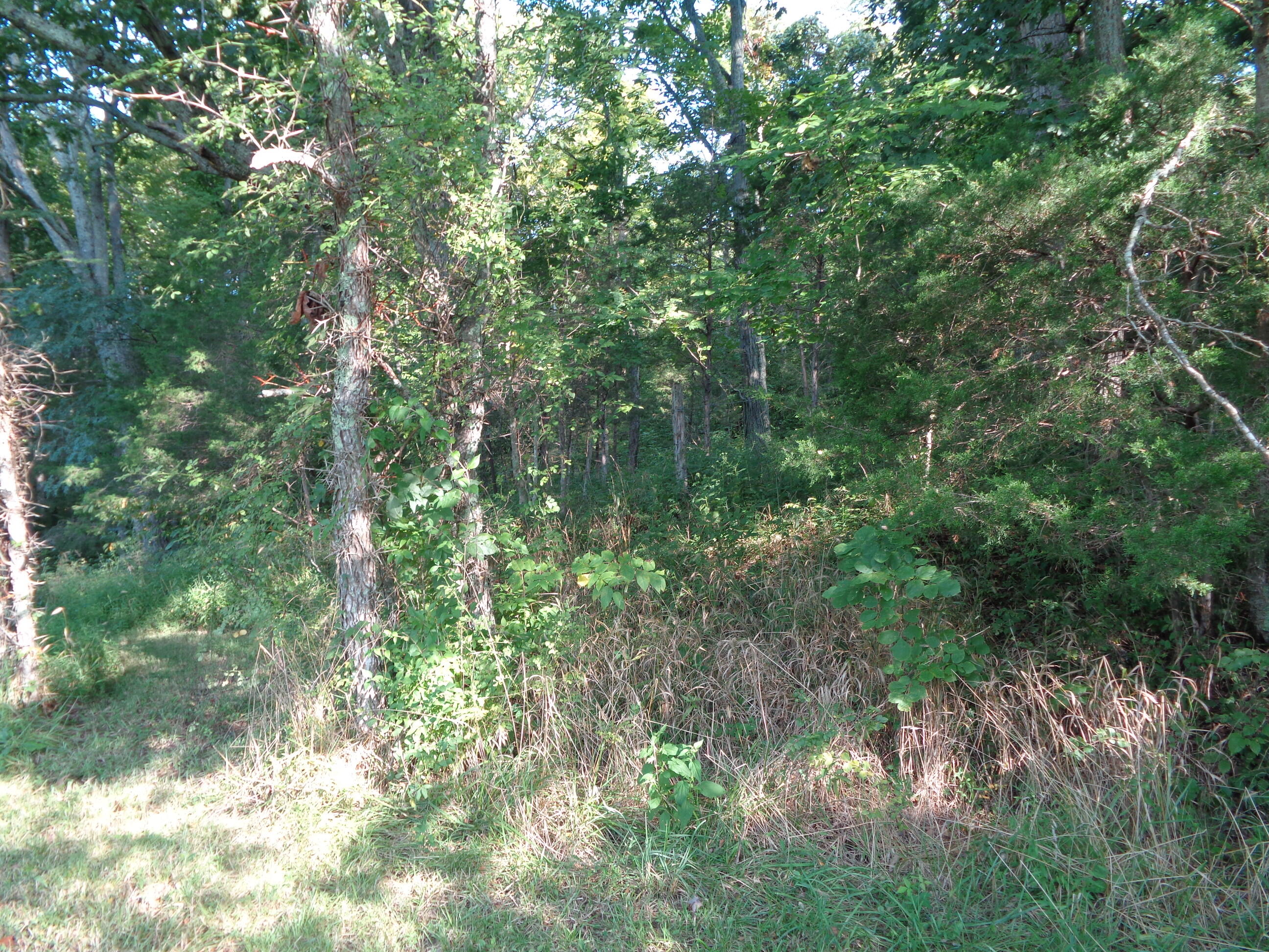 1409 Corinth Road Lawrenceburg, KY 40342 - Photo 34 of 38 DSC00788