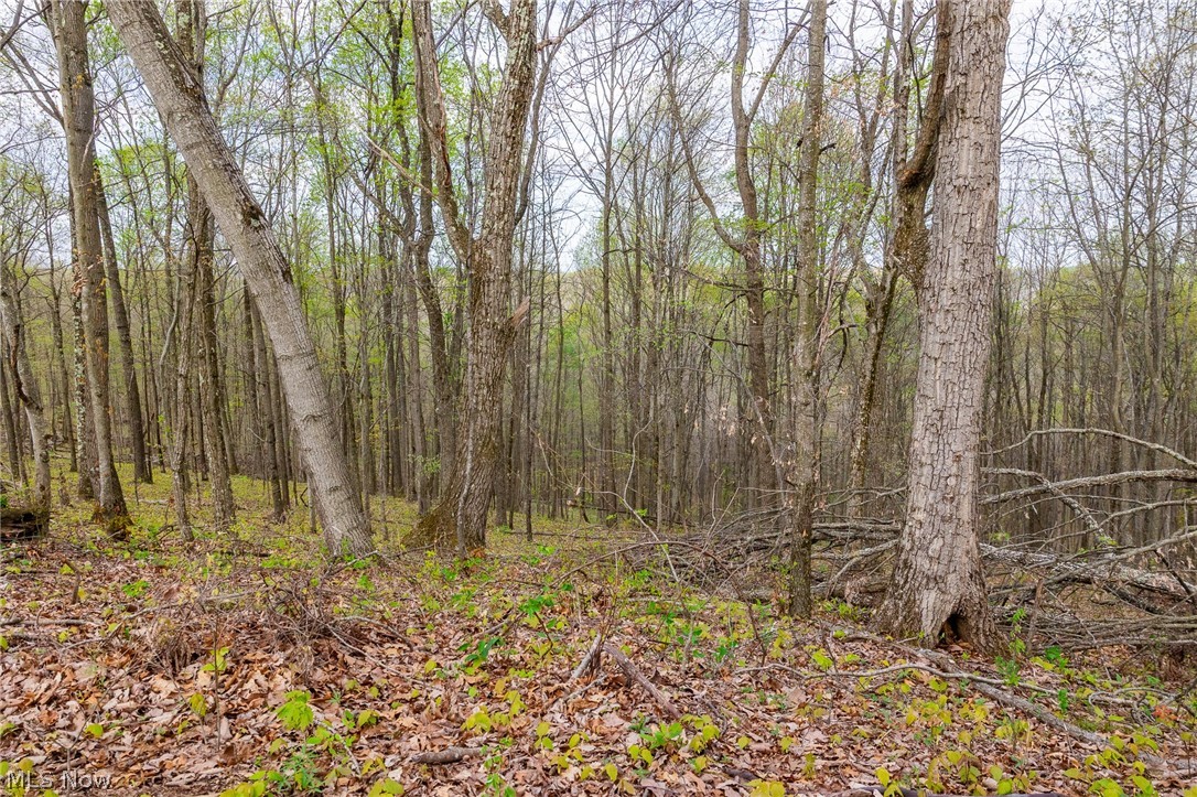 2115 Goss Fork Road, Unit 1 Whipple, OH 45788 - Photo 30 of 38