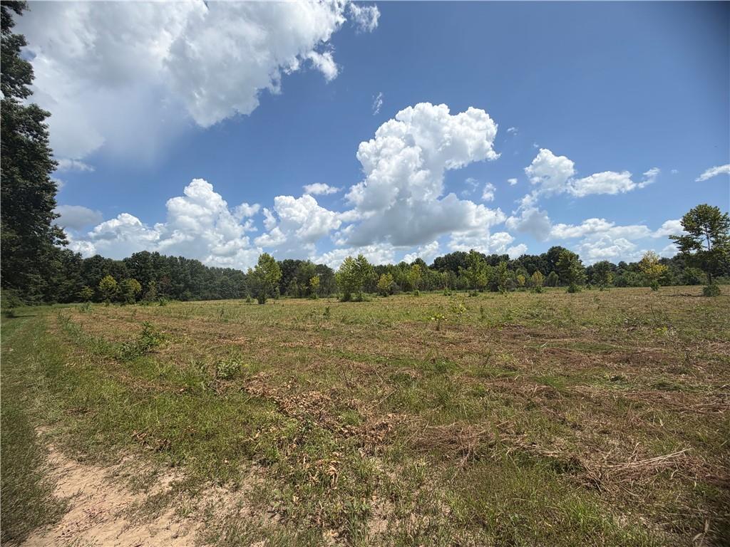 Tbd Campbell Road Knob Noster, MO 65336 - Photo 69 of 88 Gallery Image 69
