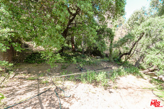 1065 Old Mill Road Pasadena, CA 91108 - Photo 6 of 7 a view of a yard with plants and large trees