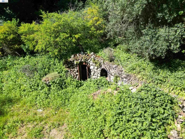 a backyard of a house with lots of trees
