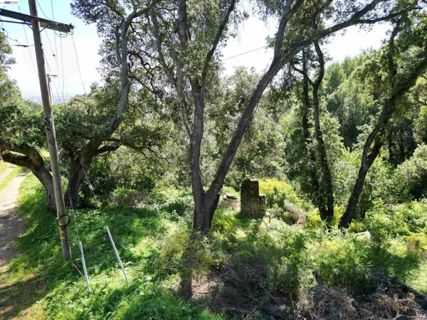 a view of an outdoor space and yard