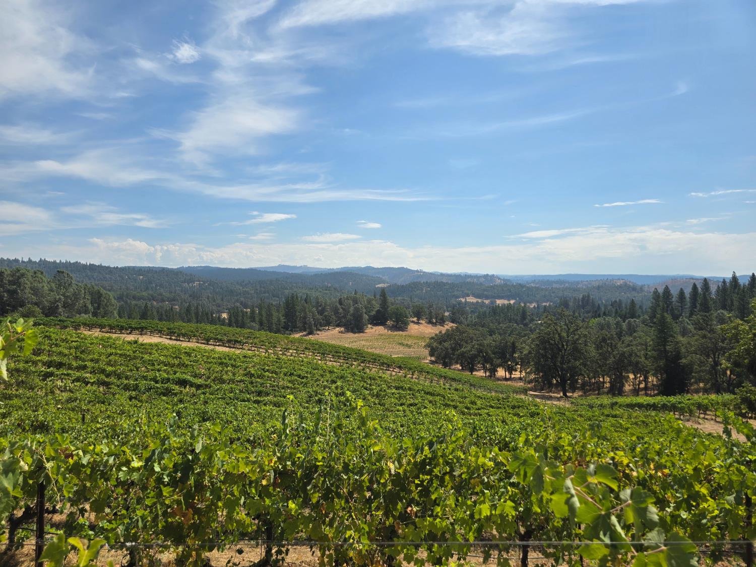 4180 Pleasant Valley Road Placerville, CA 95667 - Photo 2 of 61 Gallery Image 2