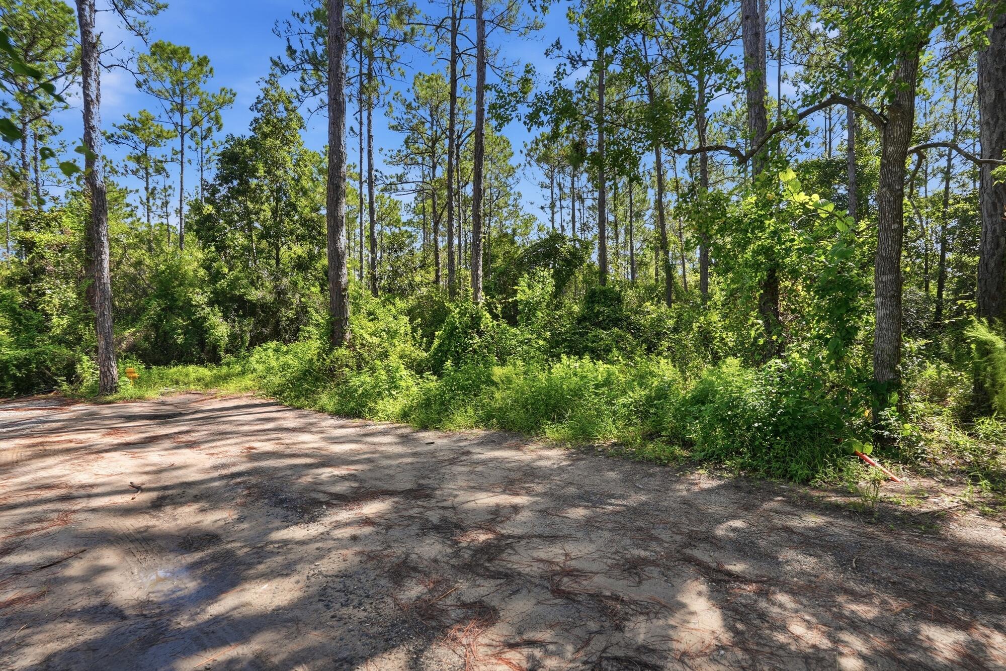 0 South S 6th Santa Rosa Beach Santa Rosa Beach, FL 32459 - Photo 2 of 12 s 6th st-awp_media-001