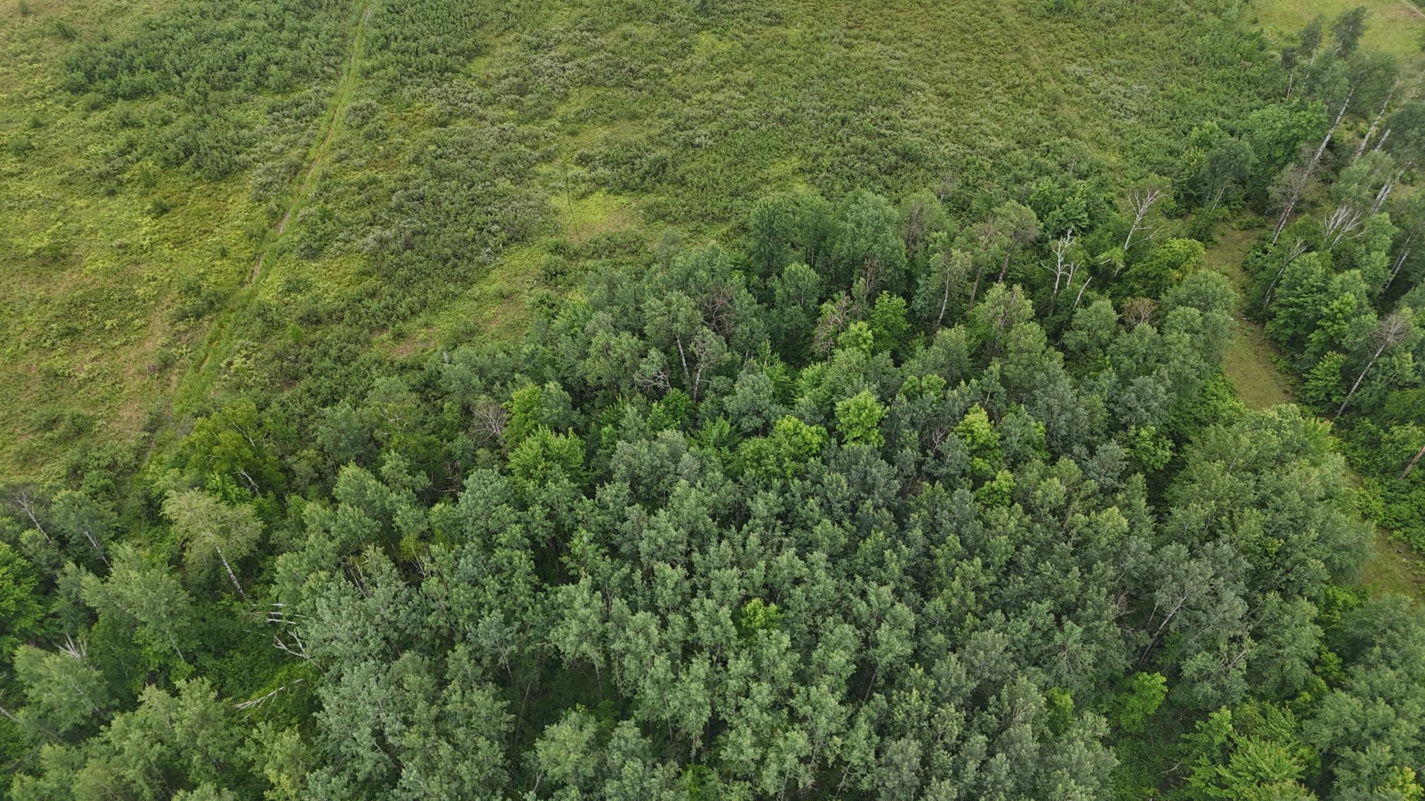 Tbd Klejeski Road Sandstone, MN 55072 - Photo 21 of 32