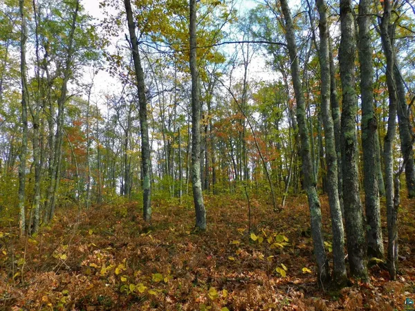$56,000 | Xxxx Xxxx Sajdak Road, Iron River, WI 54847