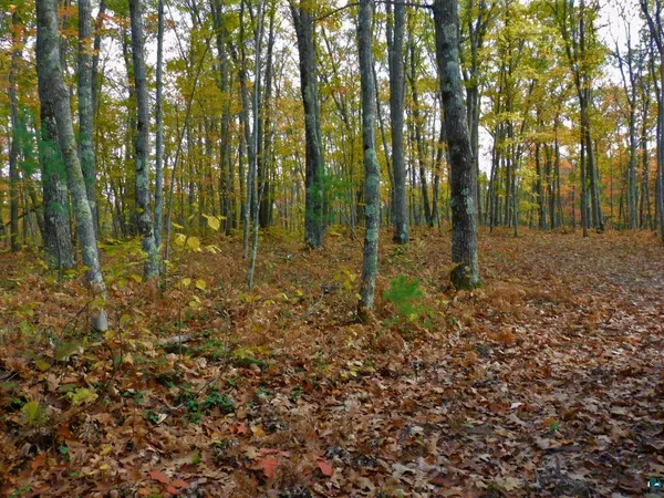 $56,000 | Xxxx Xxxx Sajdak Road, Iron River, WI 54847