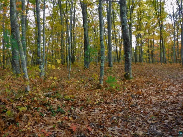 $56,000 | Xxxx Xxxx Sajdak Road, Iron River, WI 54847