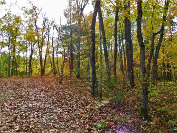 $56,000 | Xxxx Xxxx Sajdak Road, Iron River, WI 54847