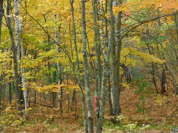 $56,000 | Xxxx Xxxx Sajdak Road, Iron River, WI 54847