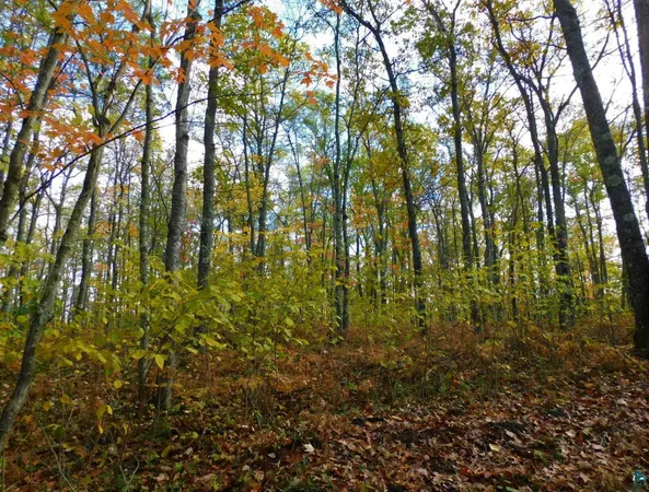 $56,000 | Xxxx Xxxx Sajdak Road, Iron River, WI 54847