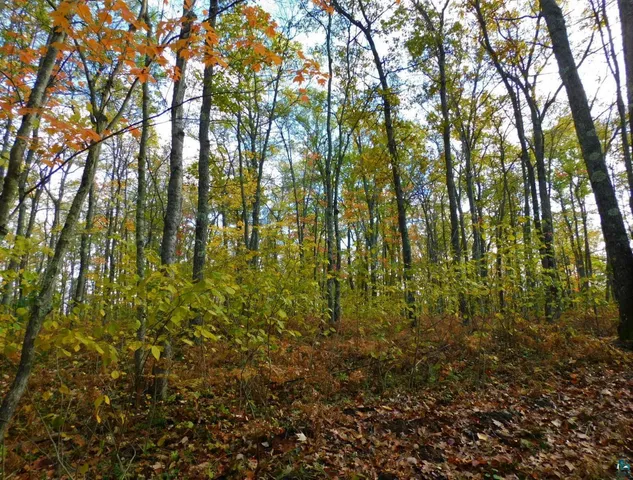 $56,000 | Xxxx Xxxx Sajdak Road, Iron River, WI 54847