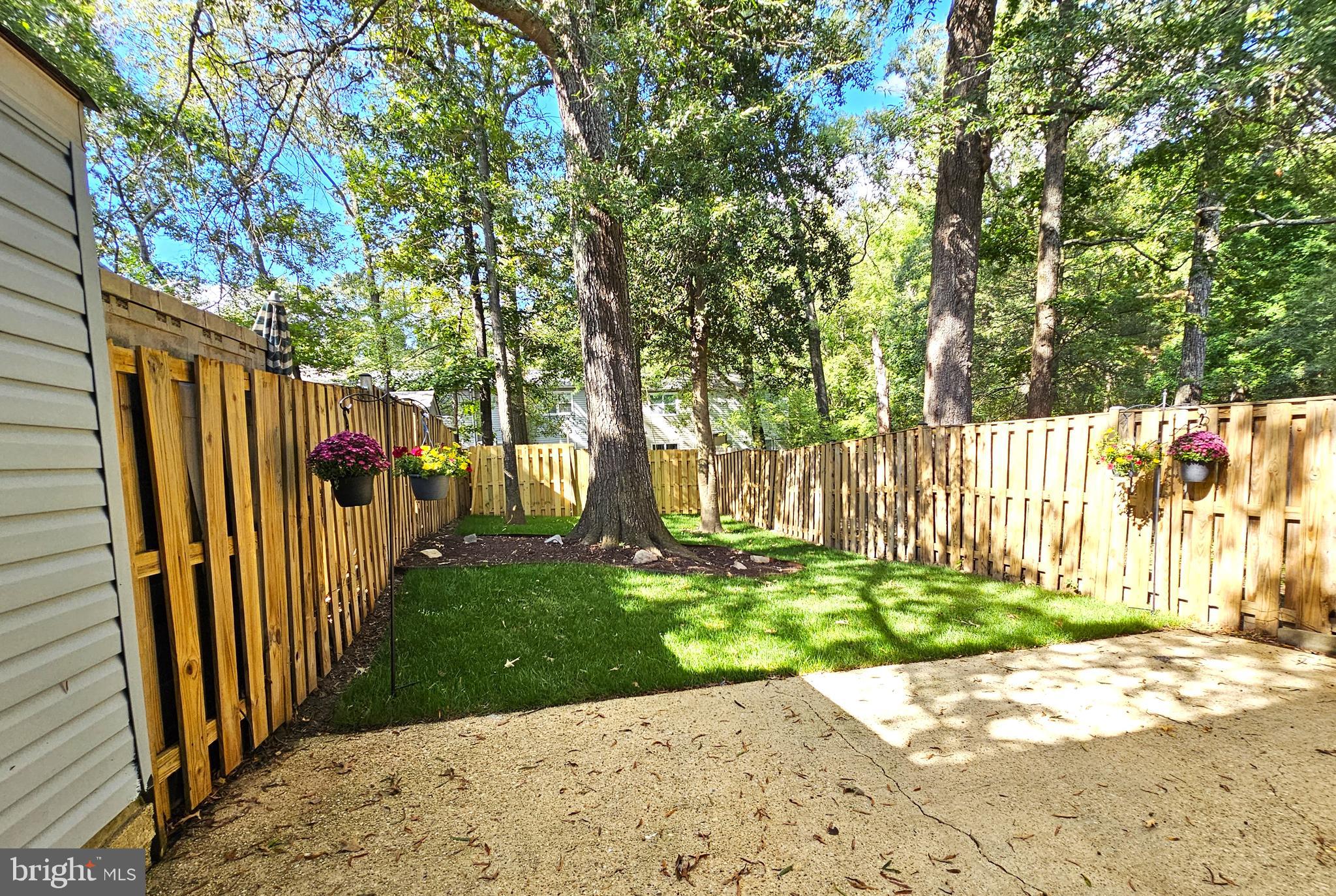 Gorgeous backyard