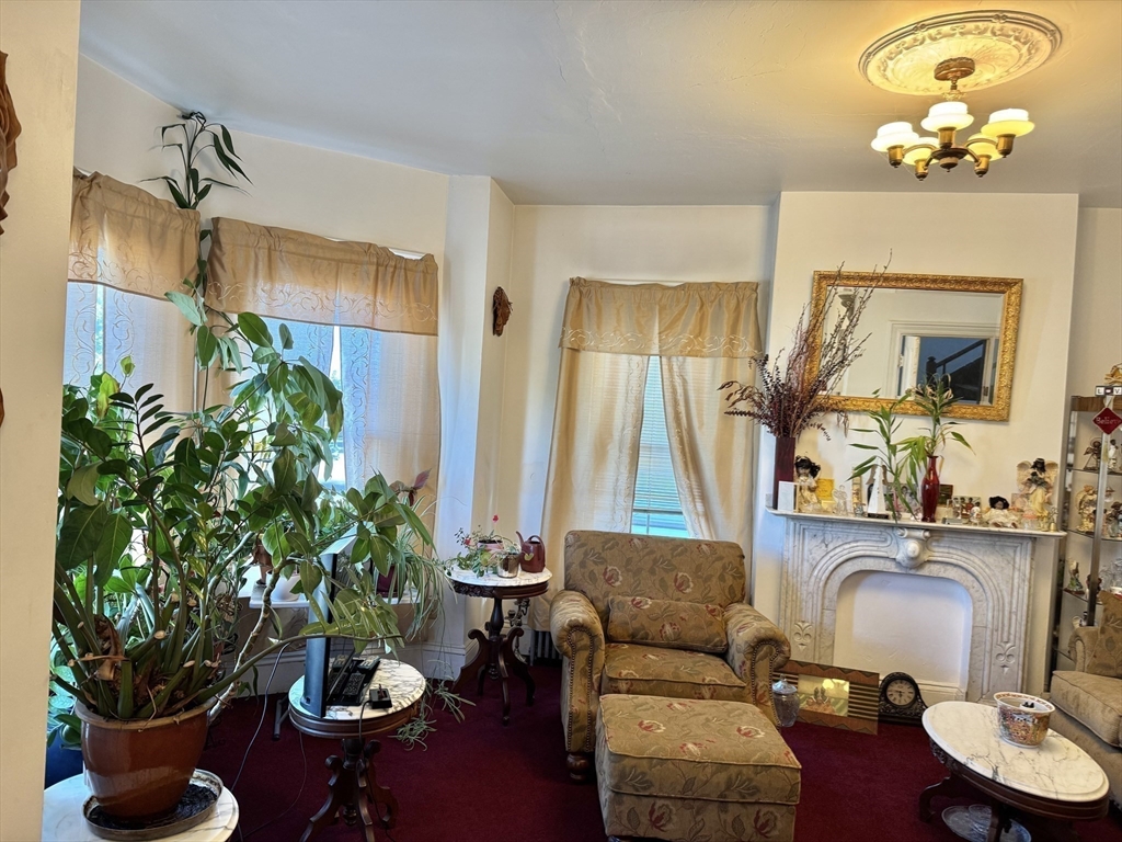 495 Warren Street Boston, MA 02121 - Photo 2 of 25 a living room with furniture and a potted plant