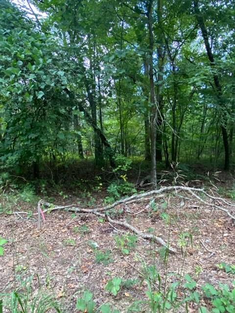 2030 Pleasant Union Road Canton, GA 30114 - Photo 1 of 1 a backyard of a house with lots of green space