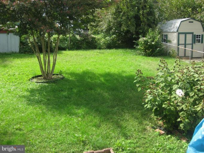3913 Ridgecroft Road Baltimore, MD 21206 - Photo 8 of 14 spacious backyard