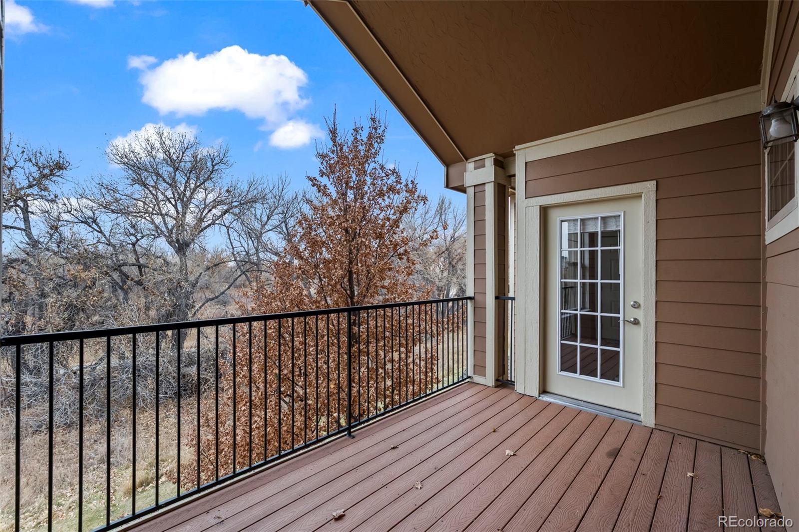 10787 Twenty Mile Road, Unit 301 Parker, CO 80134 - Photo 21 of 31 a view of balcony with wooden floor