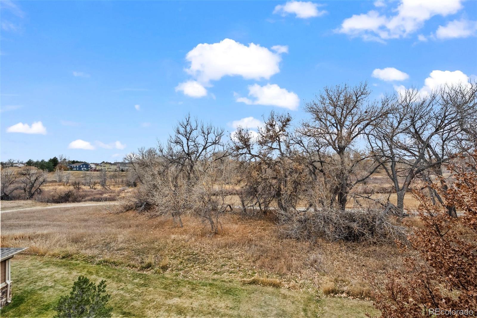 10787 Twenty Mile Road, Unit 301 Parker, CO 80134 - Photo 23 of 31 a view of a yard and mountain view