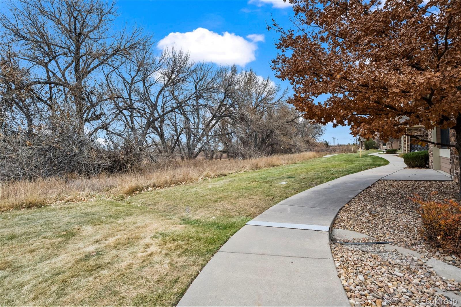 10787 Twenty Mile Road, Unit 301 Parker, CO 80134 - Photo 24 of 31 a view of a yard with large trees